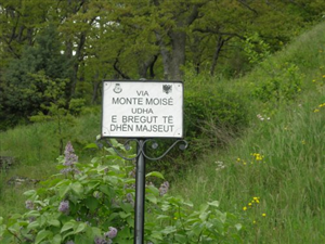 Toponomastica urbana